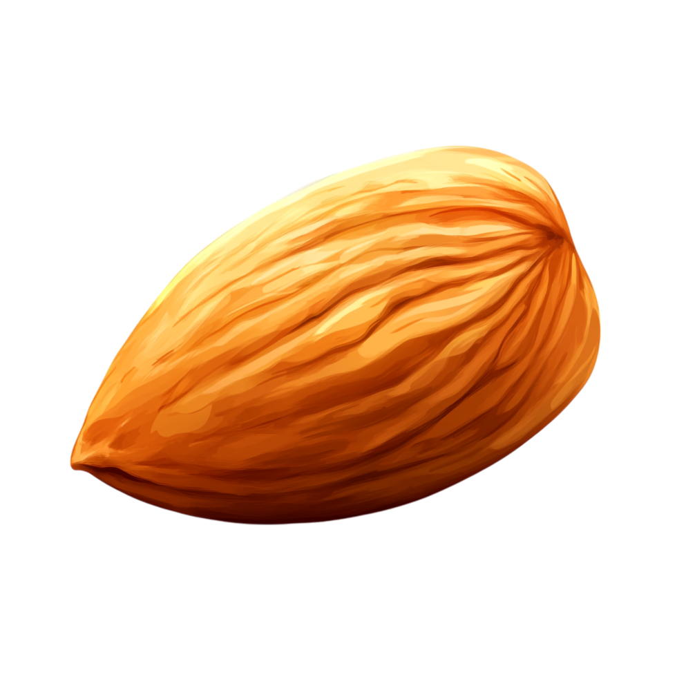 PNG A Single Almond Nut Close-Up Against Transparent Background for Nut-Based Recipes, Health Themes, or Food Illustrations