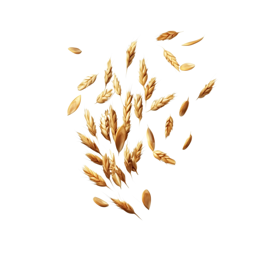 Floating Peeled Ripe Wheat Seed 3D Rendering Against White Background png