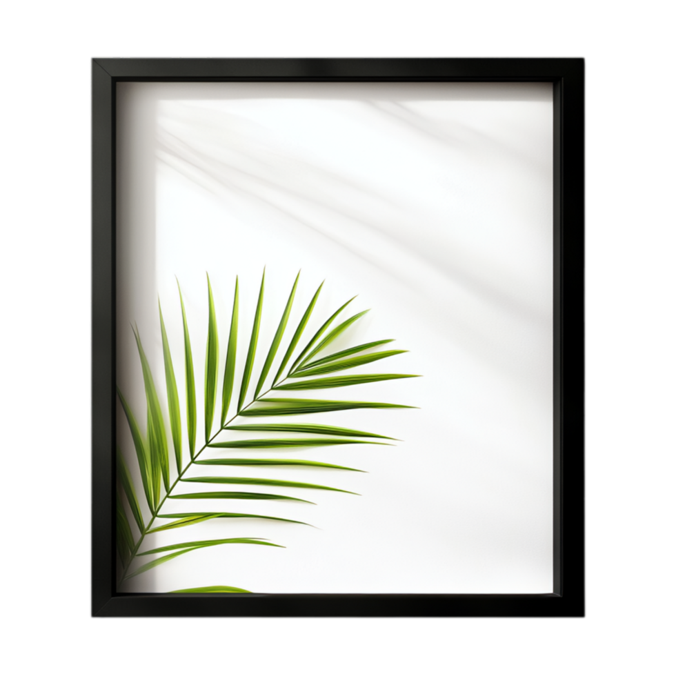 PNG Elegant Black Frame Mockup with Palm Leaf Shadow Against Transparent Background for Minimalistic Branding, Art Display, or Creative Projects