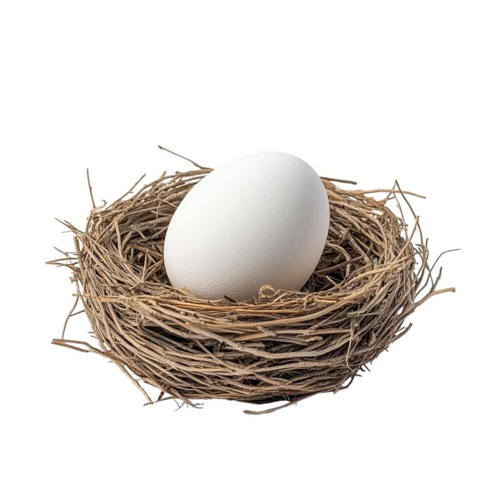 Bird Nest with an Egg on transparent background png