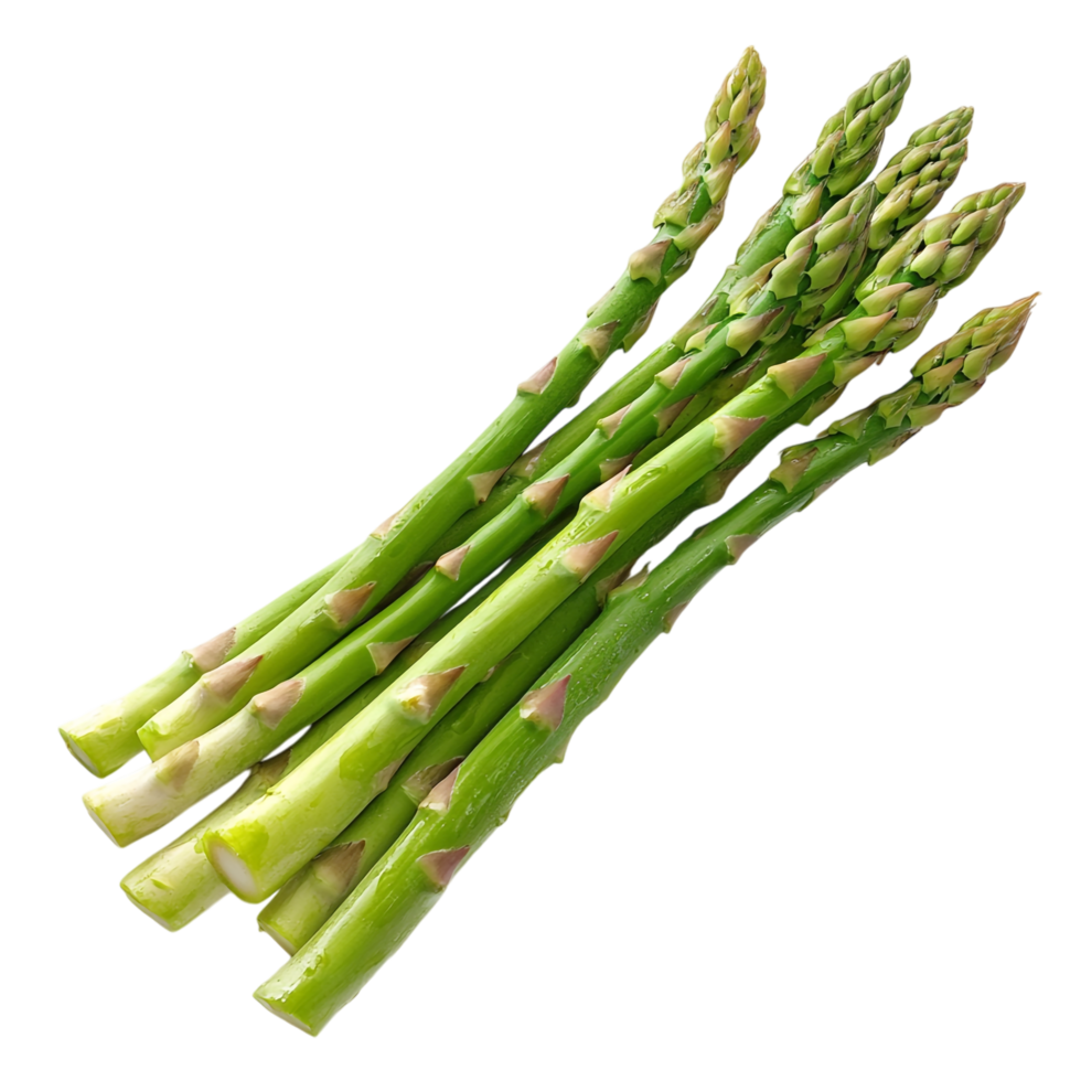 Deep Green Asparagus on transparent background png