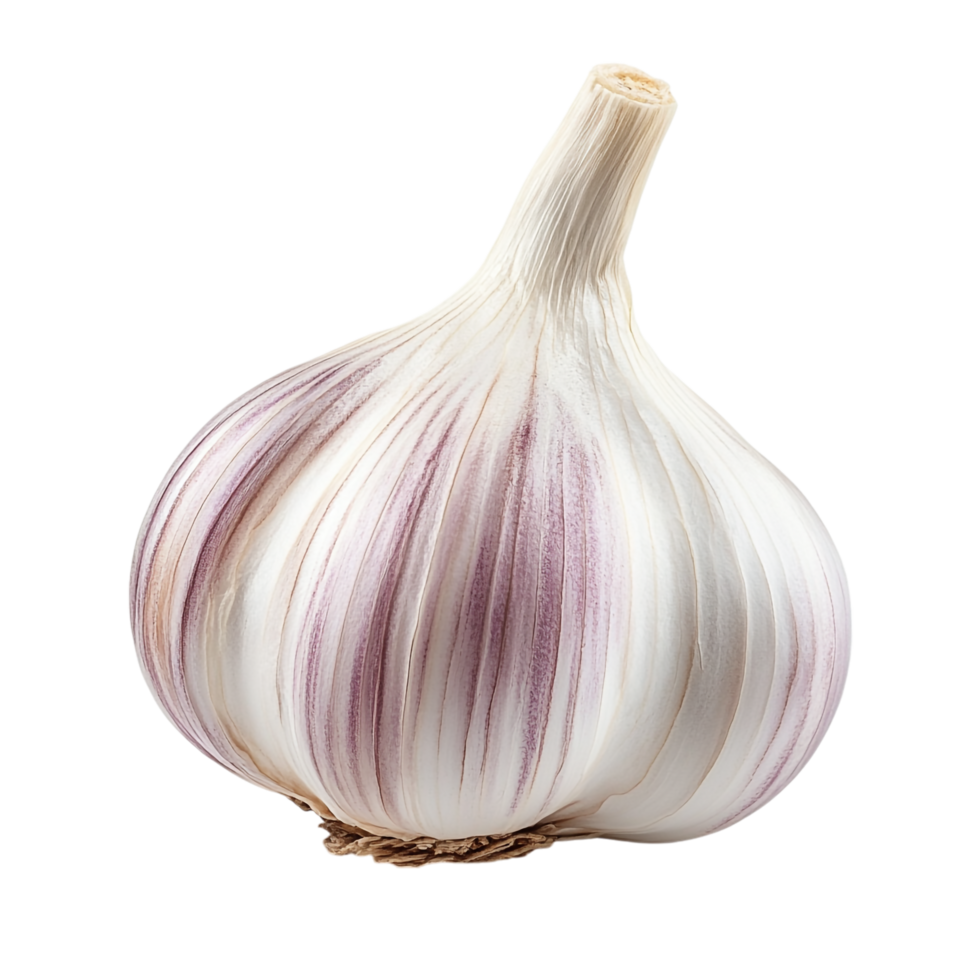 Garlic on transparent background png