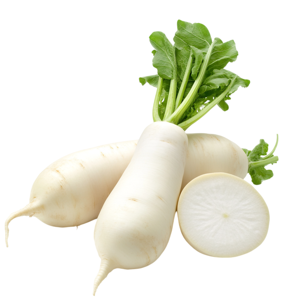 Fresh Daikon Radish on transparent background png