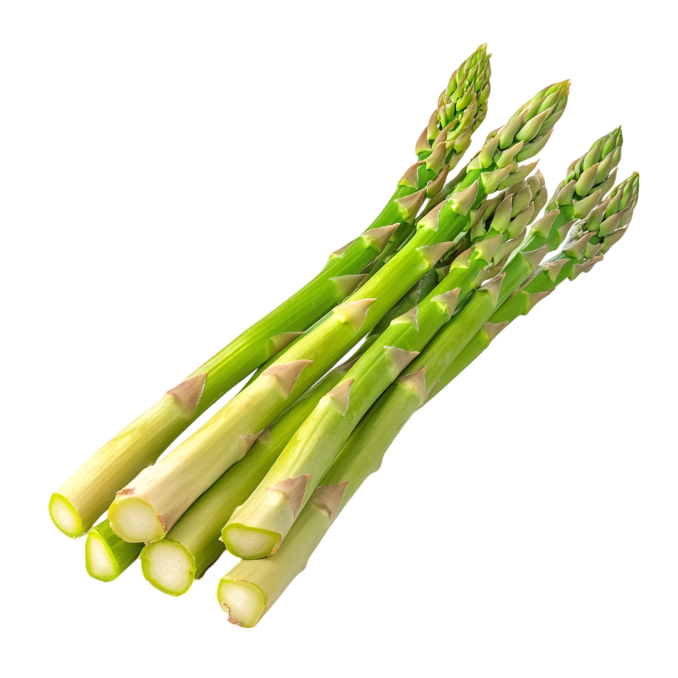 Deep Green Asparagus on transparent background png