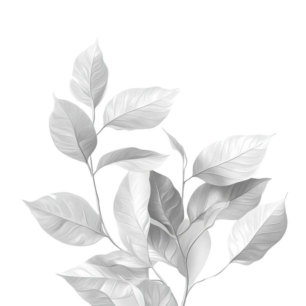 white tone leaves with white textures on a transparent background png