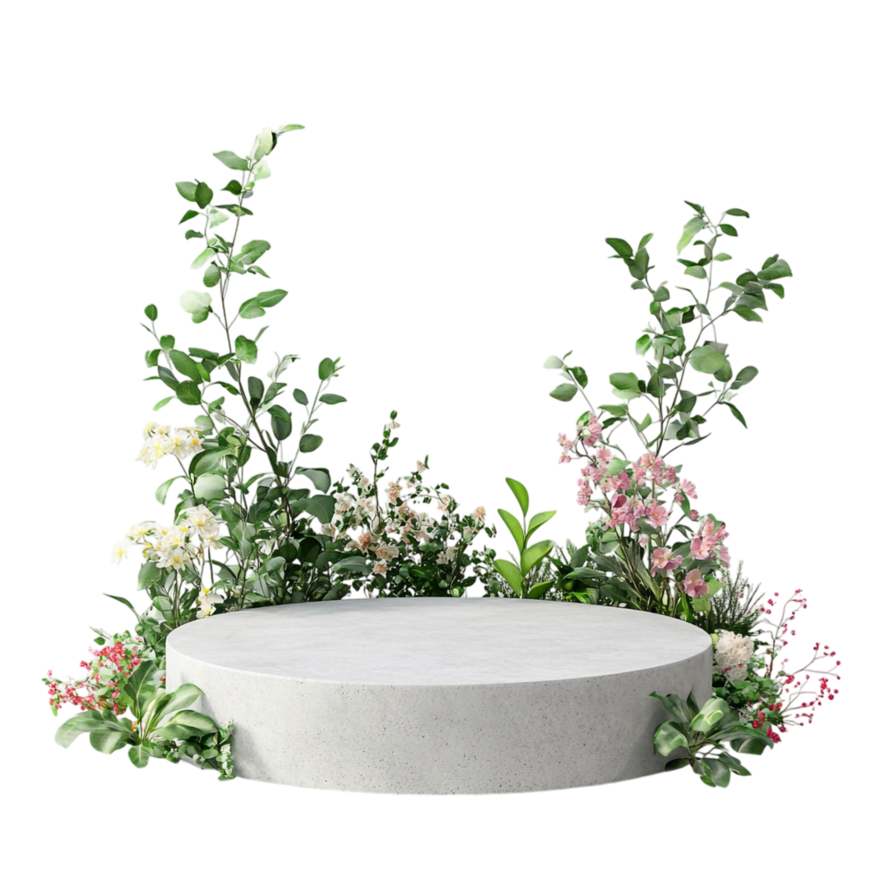 image of a simple clean minimal blank product podium png