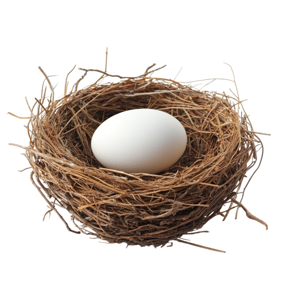 Bird Nest with an Egg on transparent background png