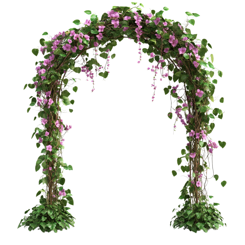 Garden Flower Vine Arch on transparent background png