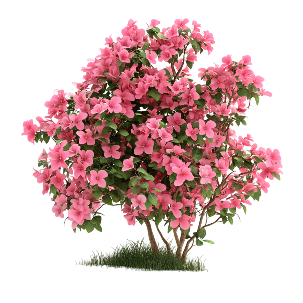 Flower Bush on transparent background png
