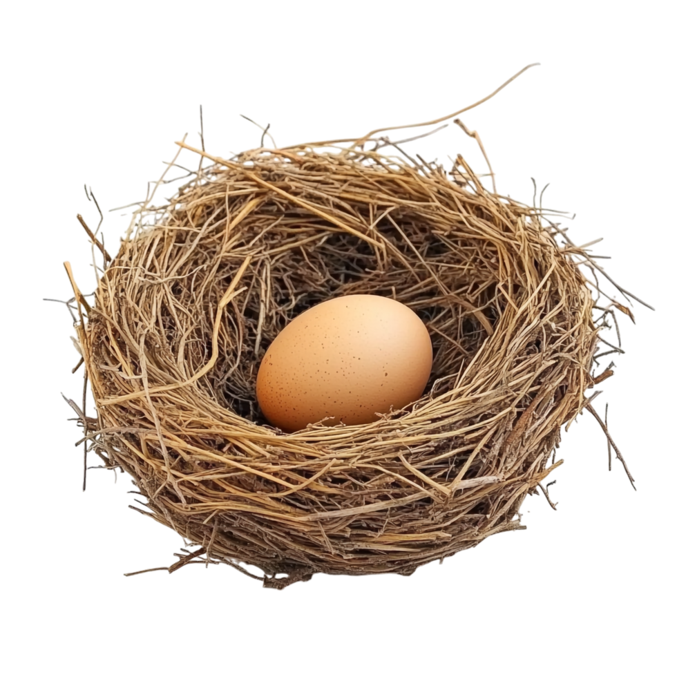Bird Nest with an Egg on transparent background png