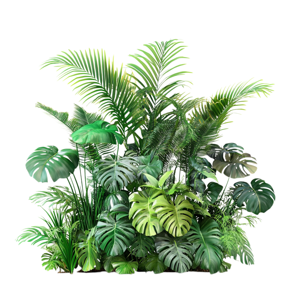 image of a tropical plant arrangement decoration on a transparent background png