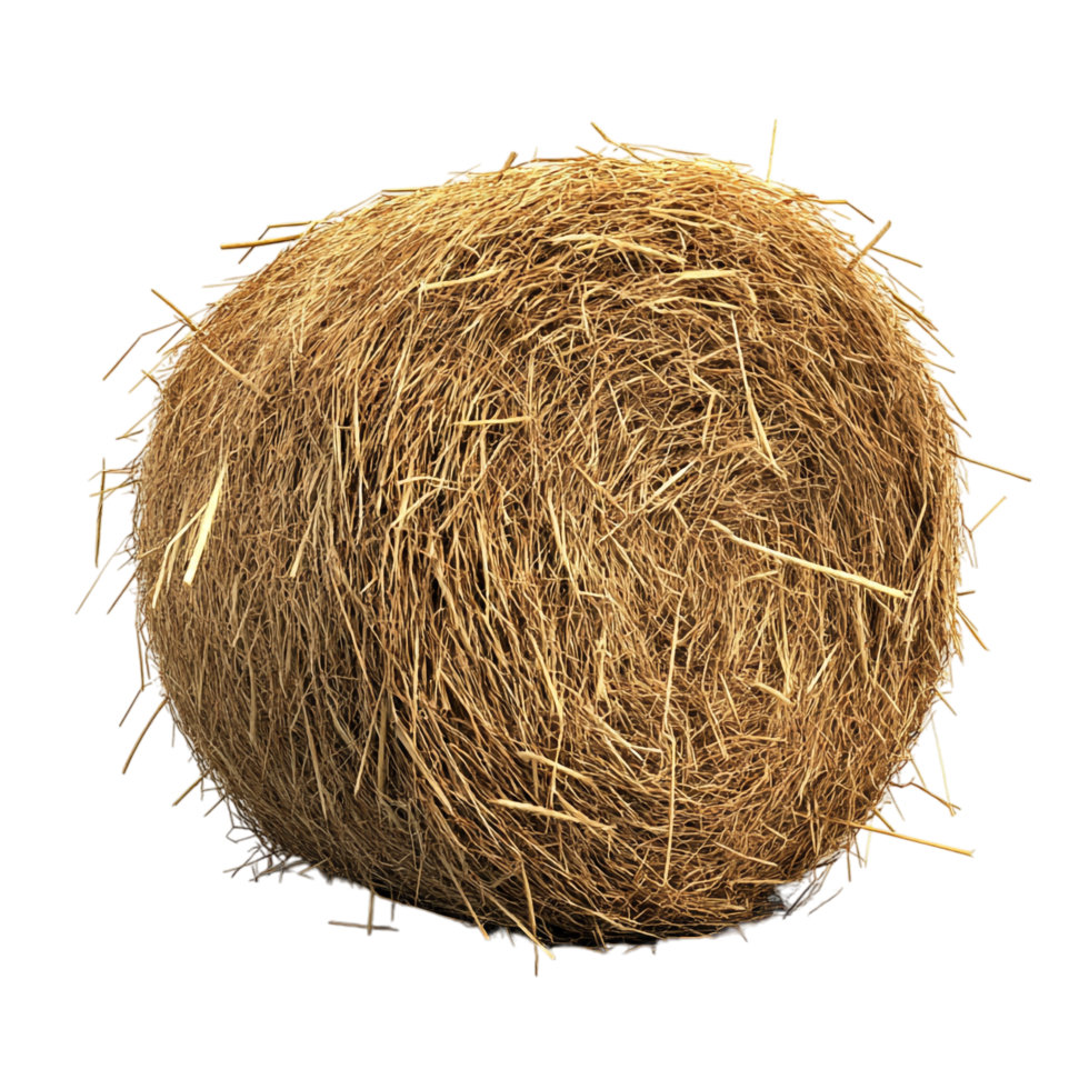 Hay on transparent background High Detail 8K png
