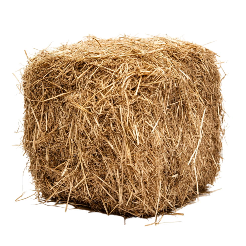 Hay on transparent background High Detail 8K png