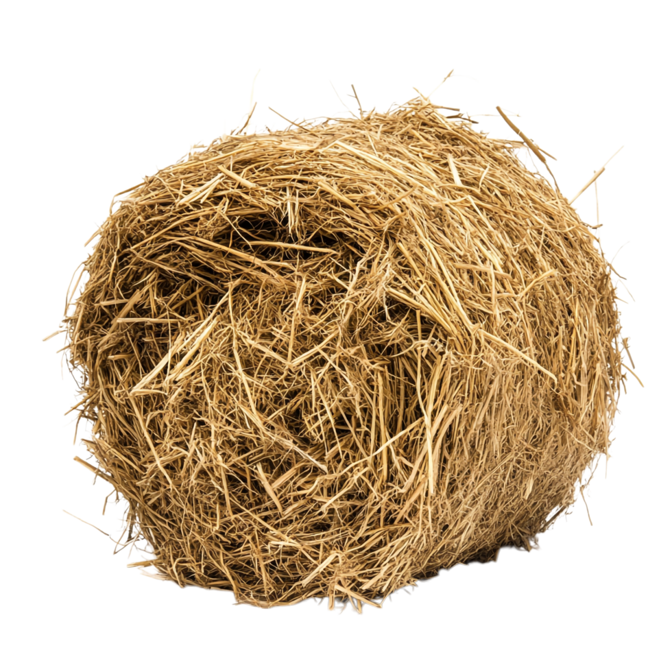 Hay on transparent background High Detail 8K png