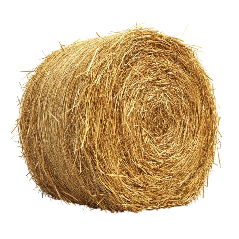 Round Hay Bale on transparent background png