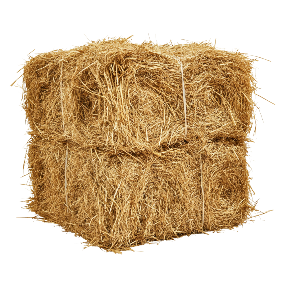 Hay on transparent background High Detail 8K png