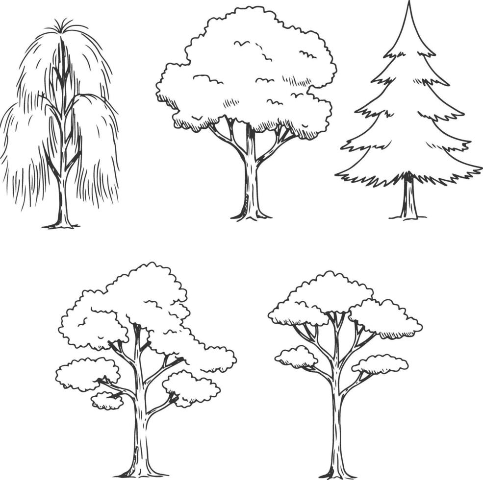 Minimal side view tree illustrations in architectural line style, ideal for CAD drawings, blueprint layouts, and landscape planning for urban or rural design projects vector