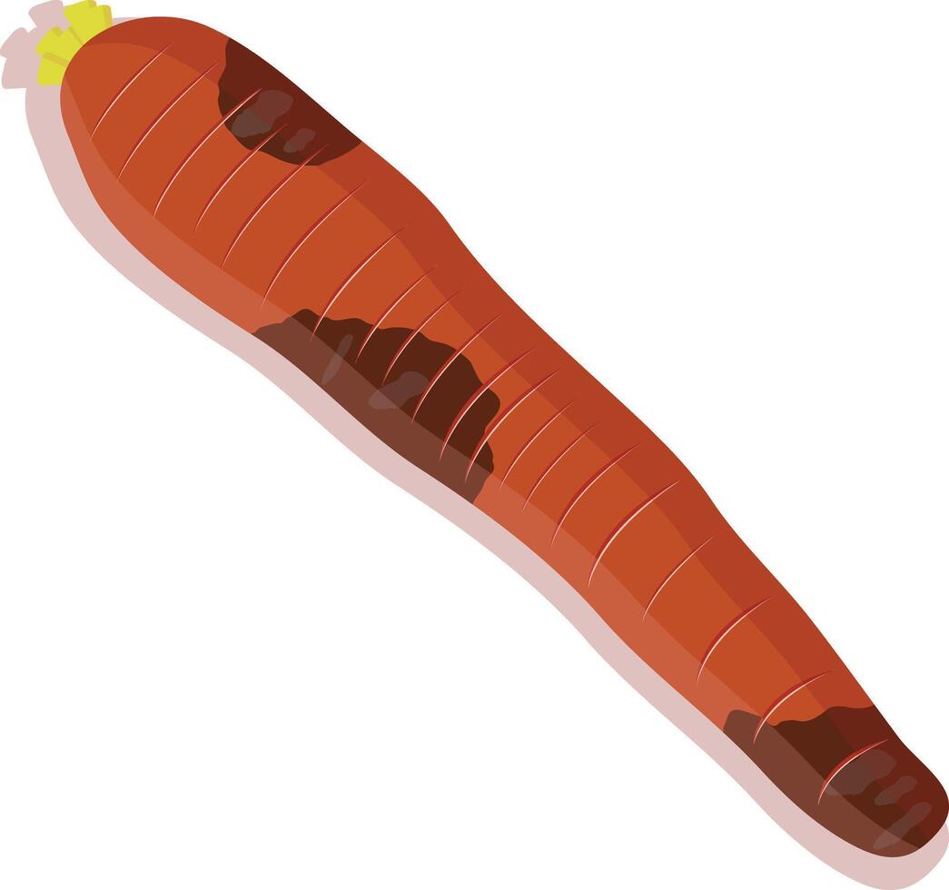 Fresh carrot illustration vector