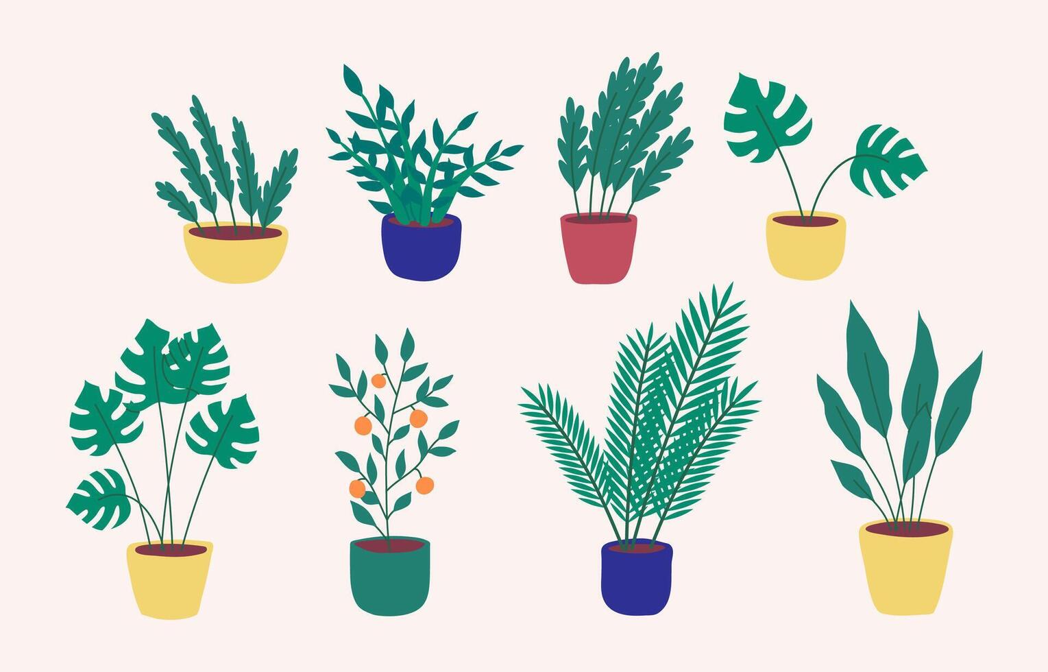 Cartoon Different Types Potted Plants Zamiokulkas and Fern Set. vector