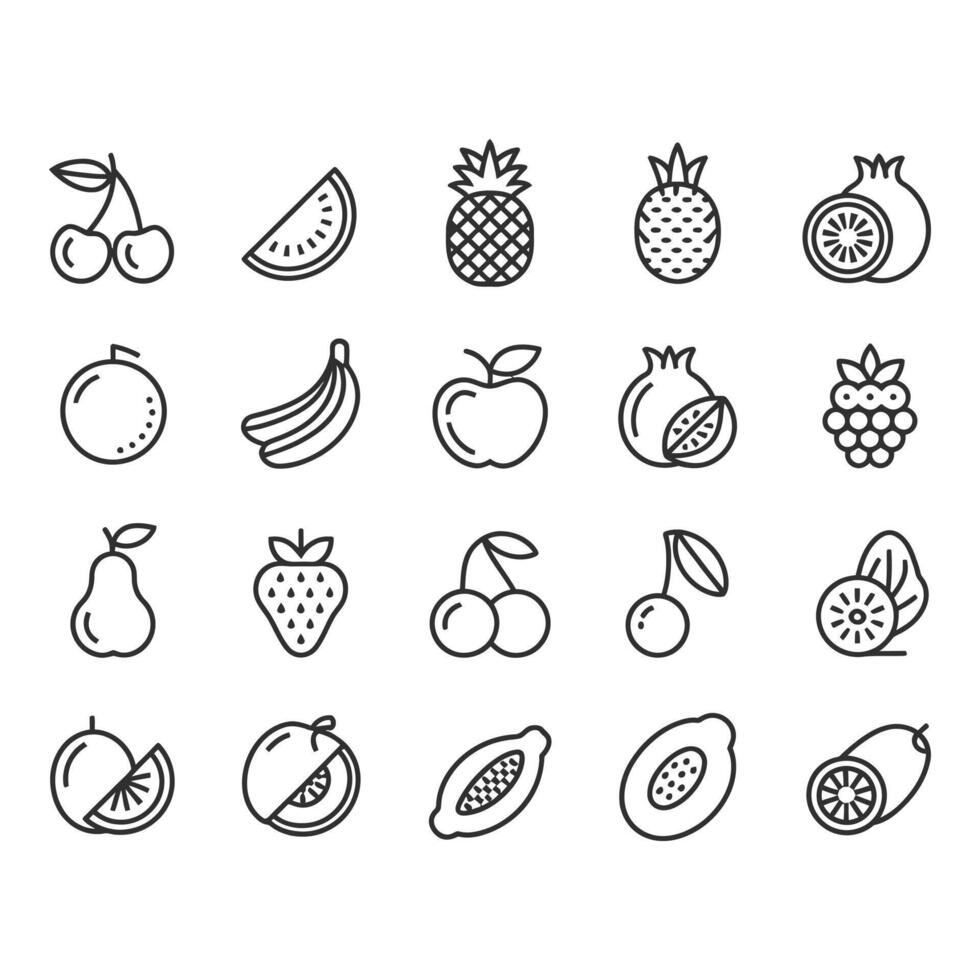 Various types of fruit isolated on white background in outline style vector