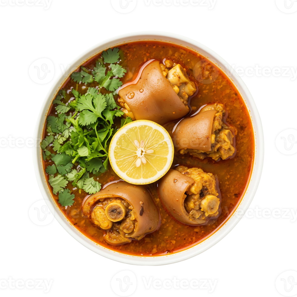 Spicy Lamb Shank Curry in White Bowl with Lemon and Cilantro png