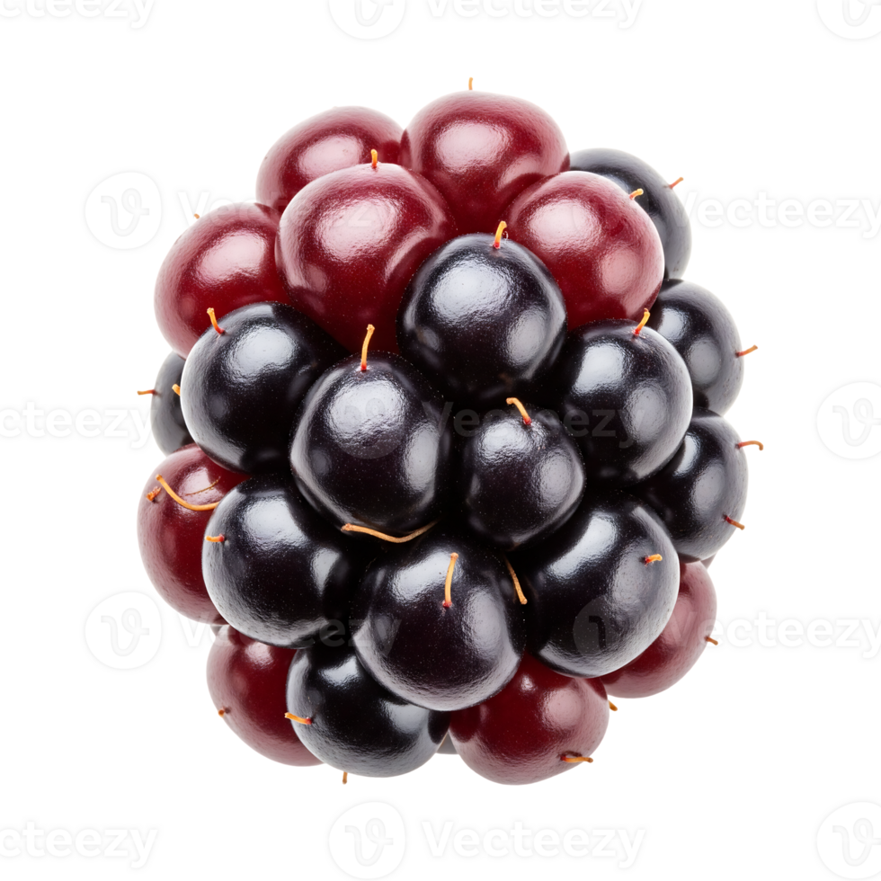 A bunch of blackberries and red berries on a black background png