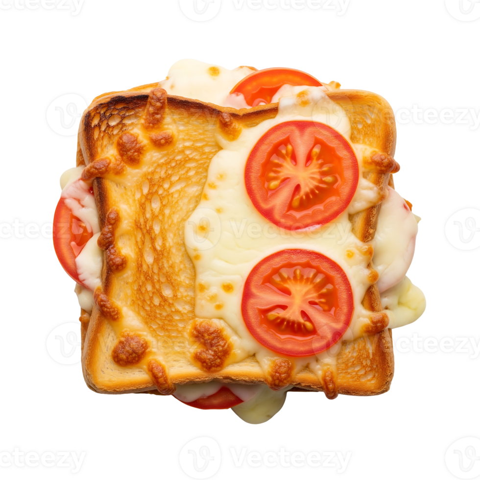 Melted Cheese Tomato Toast Sandwich isolated on a transparent background png