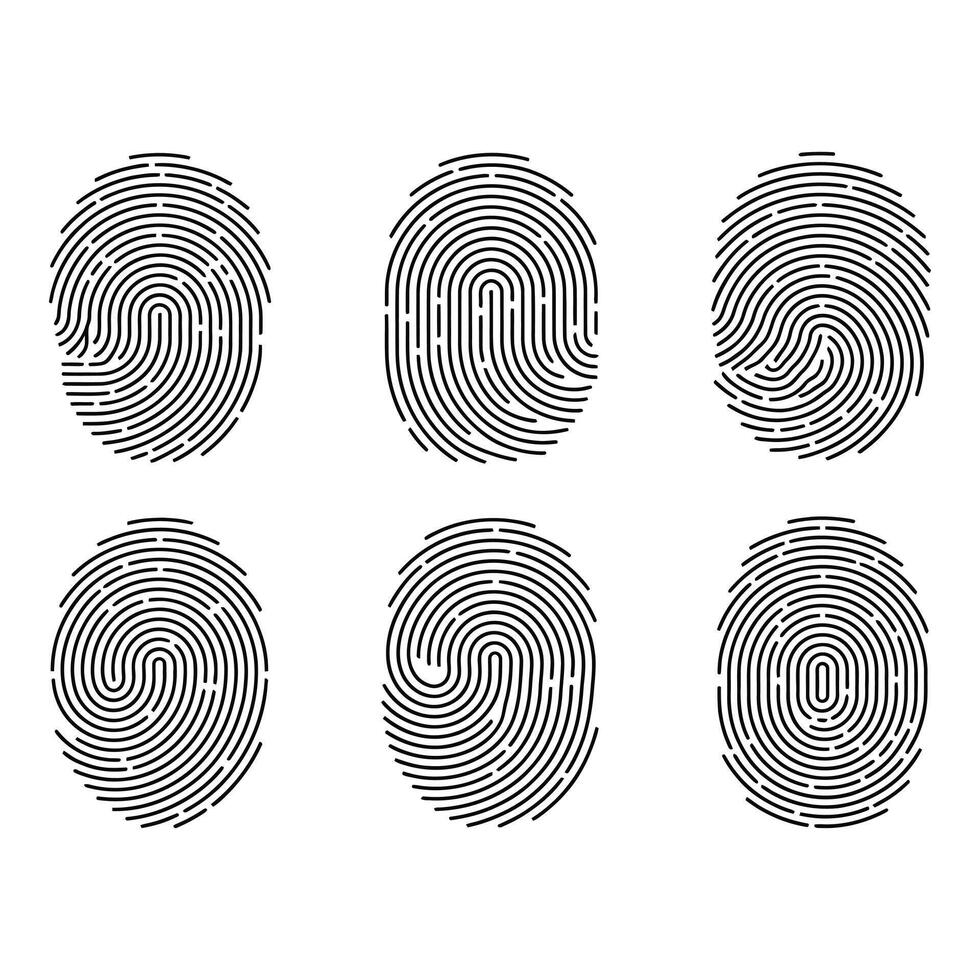 Fingerprint patterns isolated on white background for security access vector