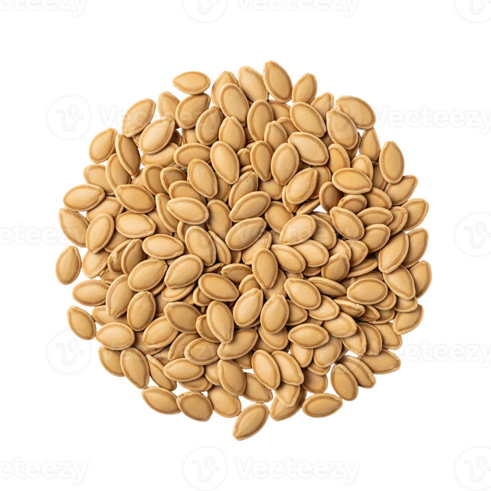 Pale Tan Watermelon Seeds Pile isolated on a transparent background png