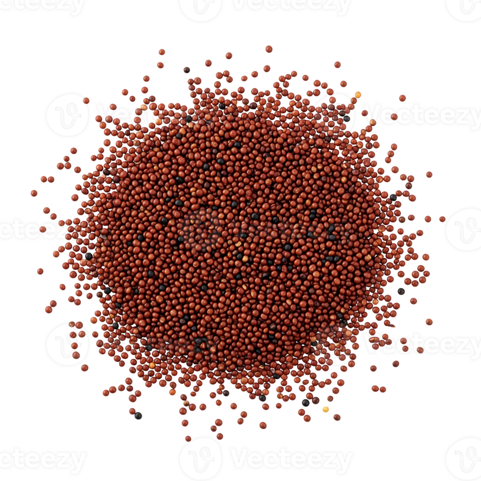 Red and Black Seeds Pile isolated on a transparent background png