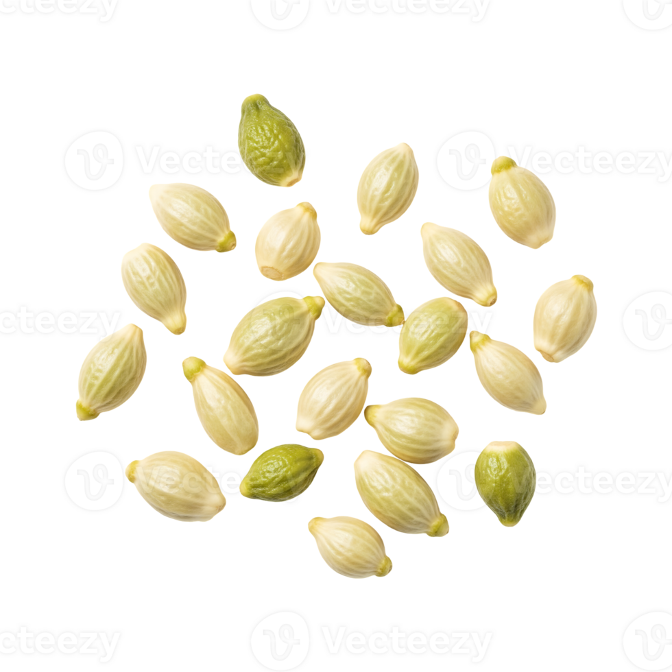 Pale Yellow and Green Seeds isolated on a transparent background png