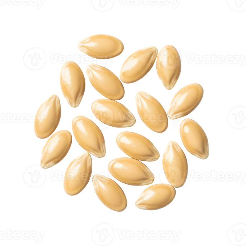 Pale Yellow Seeds Arrangement isolated on a transparent background png
