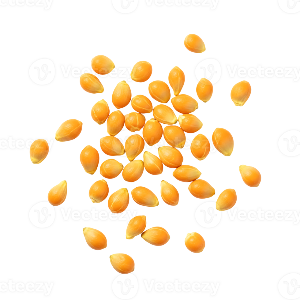 Orange Millet Seeds Scattered isolated on a transparent background png