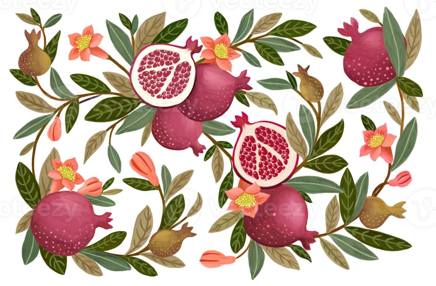 Hand drawn horizontal ornament featuring pomegranates. These illustrations are perfect for a variety of decorative applications. png