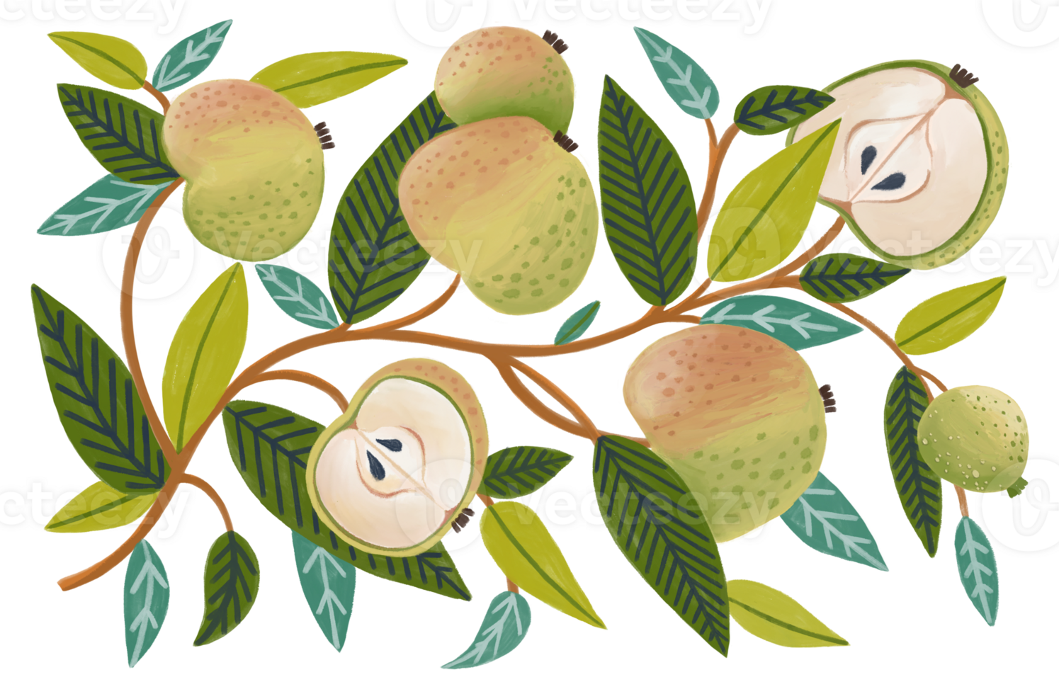 Illustration depicting a pattern of green apples on branches with leaves, showcasing various stages of ripeness. The image emphasizes botanical elements png