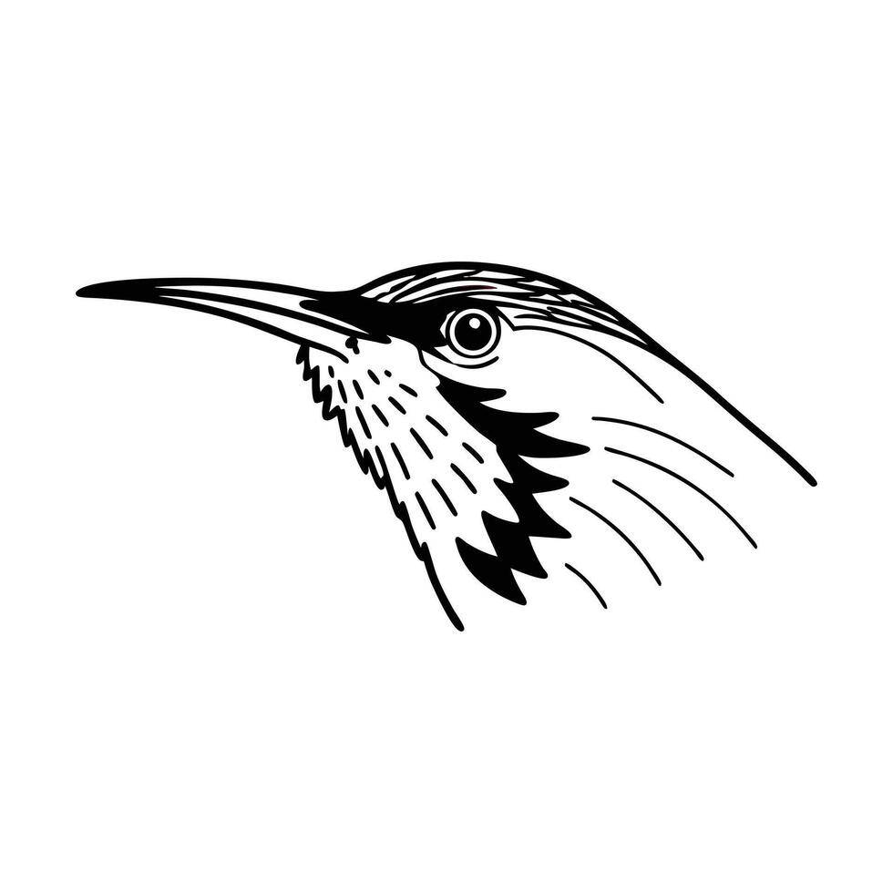 a black and white drawing of a bird's head vector