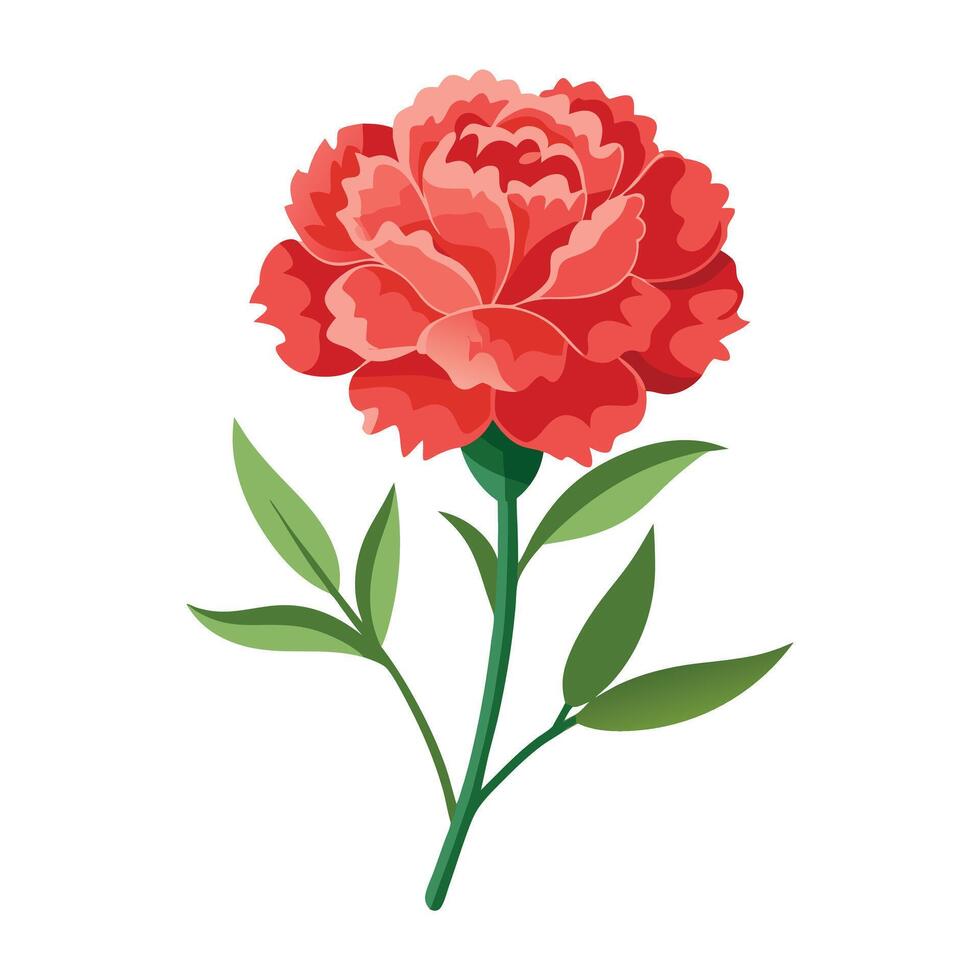 red carnation flower with green leaves illustration vector
