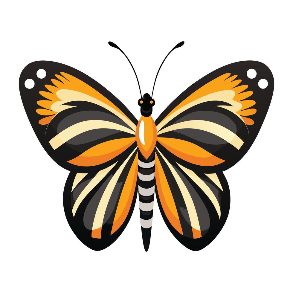 butterfly illustration isolated on white background. vector