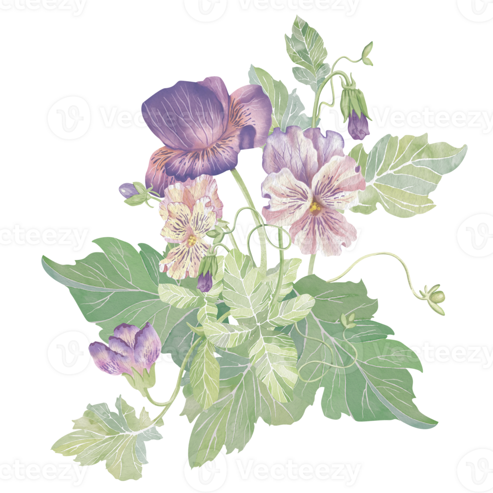 Violets flowers. Watercolor clipart illustration of lush flower composition, isolated on white background. For invitations, postcards, business cards. Decorating cups, dishes, other printed materials. png