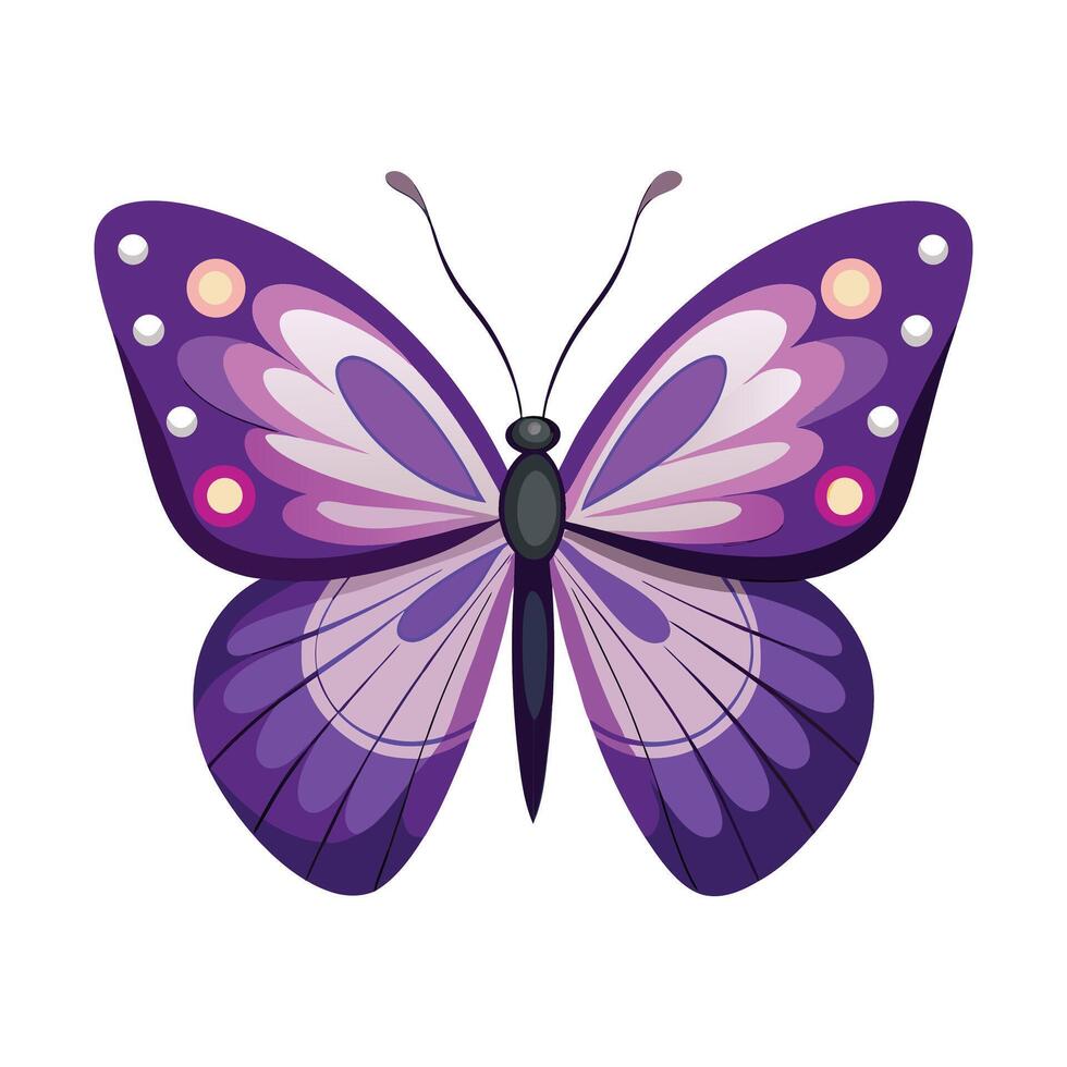 a purple butterfly with a white background. vector