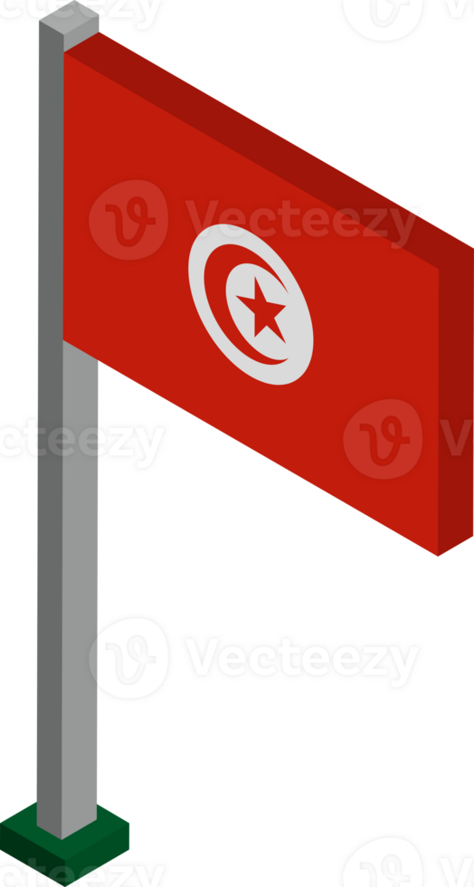 Tunisia Flag in Isometric dimension. png