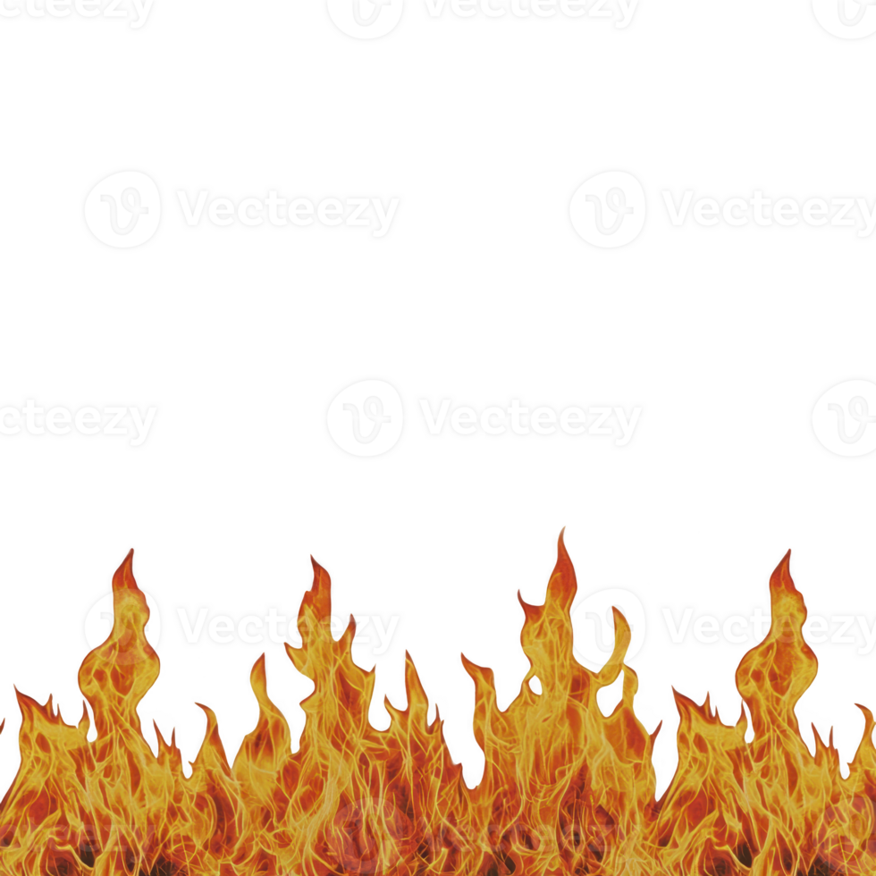 Row of vibrant, realistic flames rises against transparency background, creating dramatic and intense visual effect. fiery display captures dynamic movement and vivid colors of blazing fire png