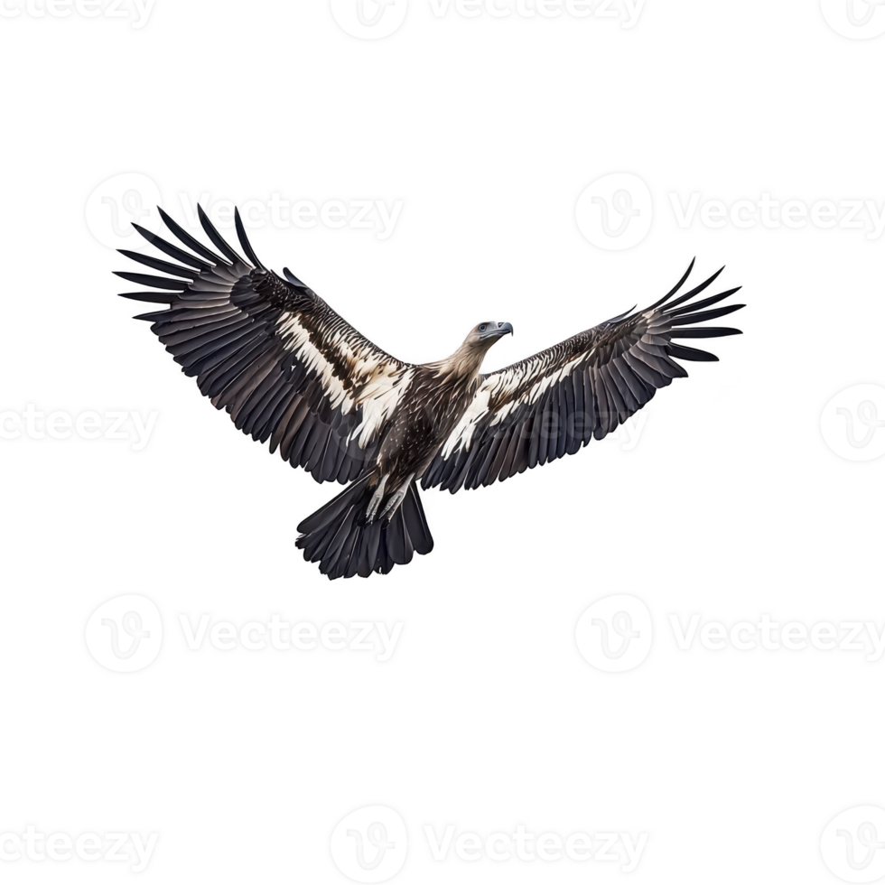 Majestic vulture soars gracefully in sky, its wings fully extended, showcasing intricate patterns of its feathers. bird powerful presence is testament to its strength and elegance png