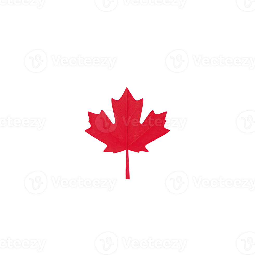 Vibrant red maple leaf isolated on transparency background, symbolizing Canada and autumn. leaf distinct shape and color evoke sense of national pride and seasonal change png