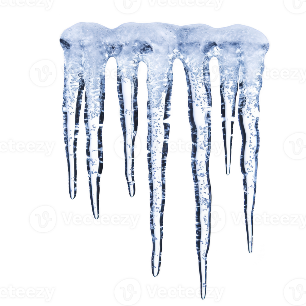 Row of glistening icicles hangs against transparency background, showcasing their translucent beauty and intricate details. icy formations evoke sense of winter chill png