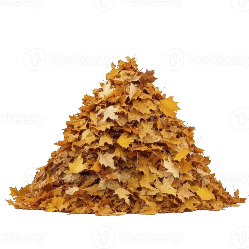 Pile of vibrant autumn leaves in shades of orange and yellow creates warm and seasonal atmosphere. leaves are stacked in triangular shape, evoking sense of fall png