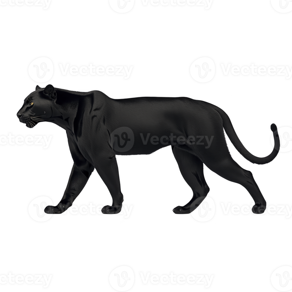 Sleek black panther is depicted in side profile, showcasing its graceful and powerful form. panther dark fur contrasts with its piercing eyes, exuding sense of mystery and strength png