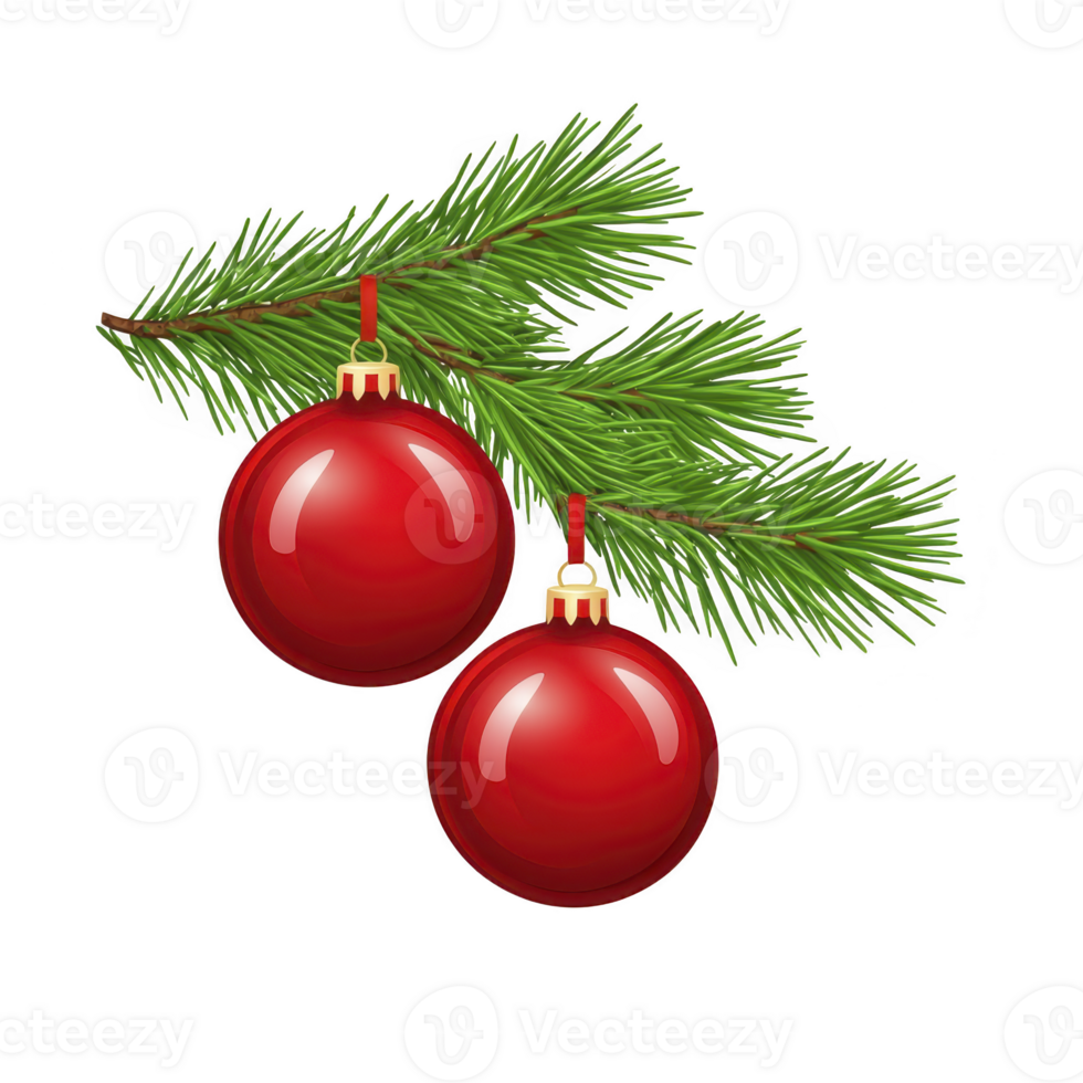 Two red Christmas ornaments hang from green pine branch, creating festive and cheerful holiday decoration png