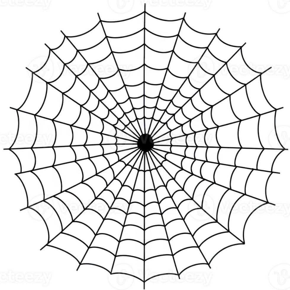 Detailed spider web with intricate patterns and symmetrical design, showcasing delicate and complex structure of nature architecture png