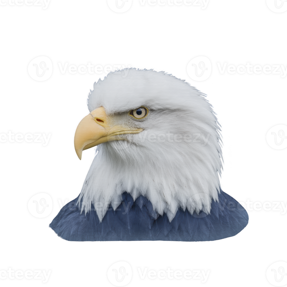 Majestic bald eagle with striking white head and sharp yellow beak is depicted against plain background, showcasing its powerful gaze and iconic features png